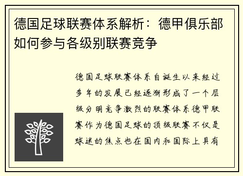 德国足球联赛体系解析：德甲俱乐部如何参与各级别联赛竞争