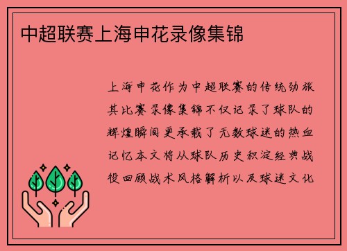 中超联赛上海申花录像集锦